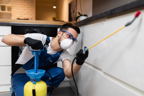 Best Local Pest Control Services  in Summit, WA