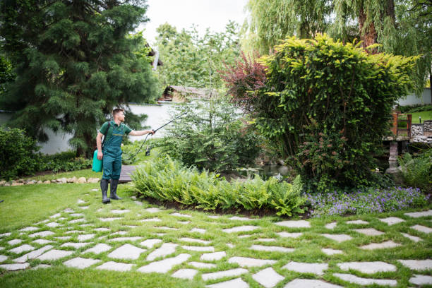 Best Pest Removal Services  in Summit, WA