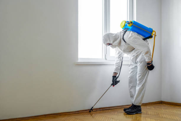 Best Termite Control Services  in Summit, WA