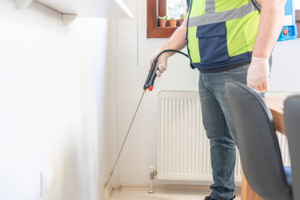 Professional Pest Control in Summit, WA