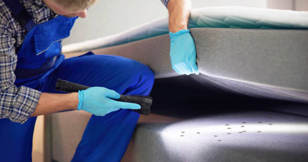 Best Emergency Pest Control  in Summit, WA